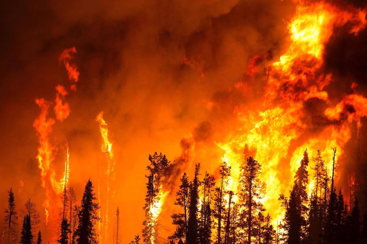 Maui Wildfire Disaster