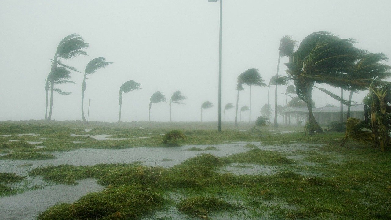 Hurricane Laura Disaster Relief