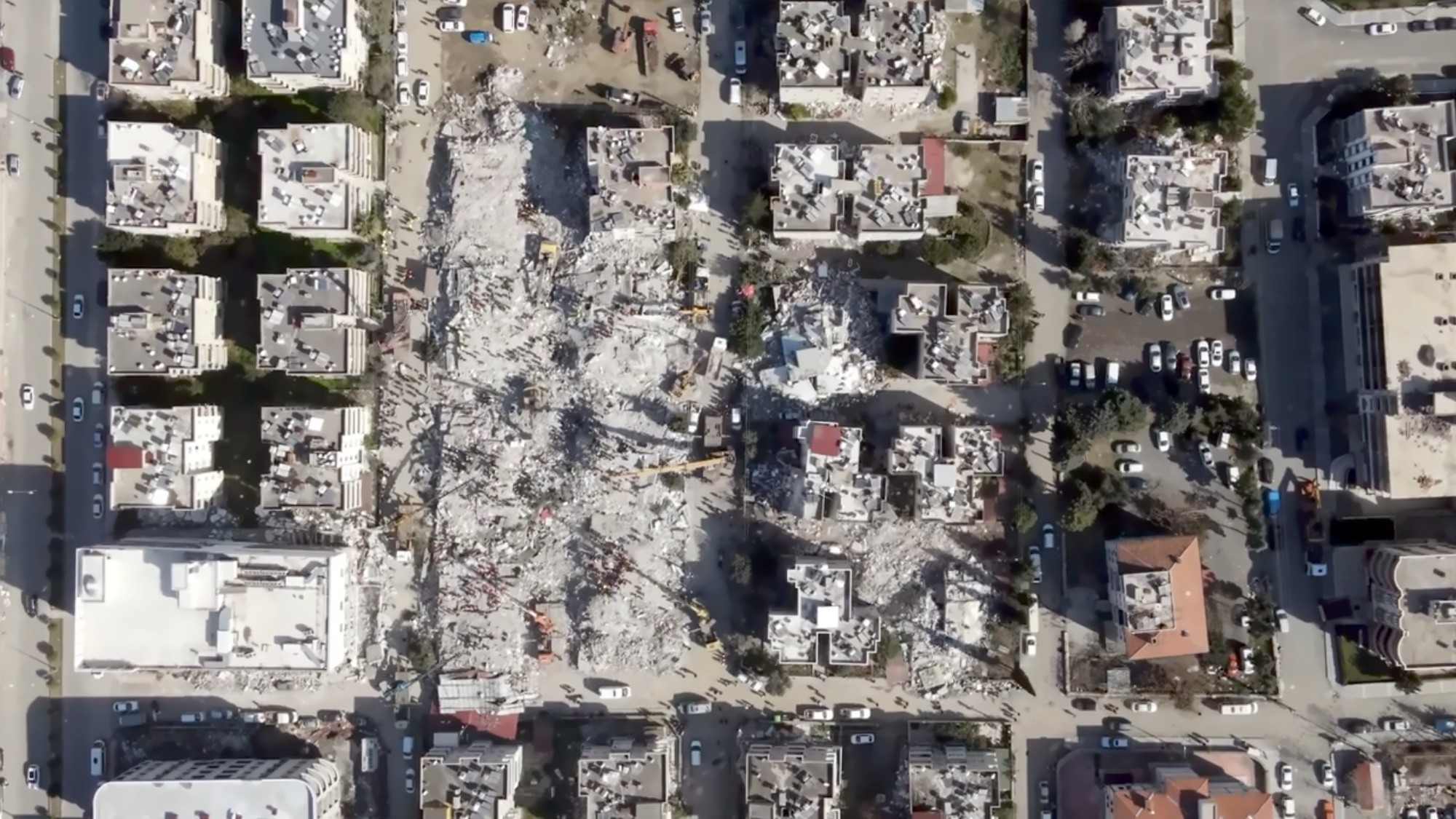 Williamsville East Helps Victims of Earthquake in Turkey and Syria