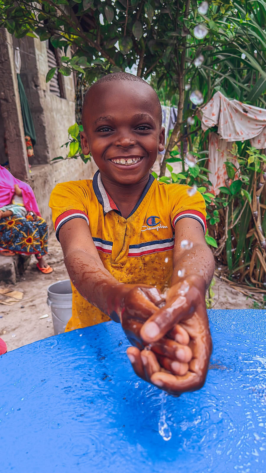 The UN Sustainable Development Goals: The 5 P’s of a Sustainable Future