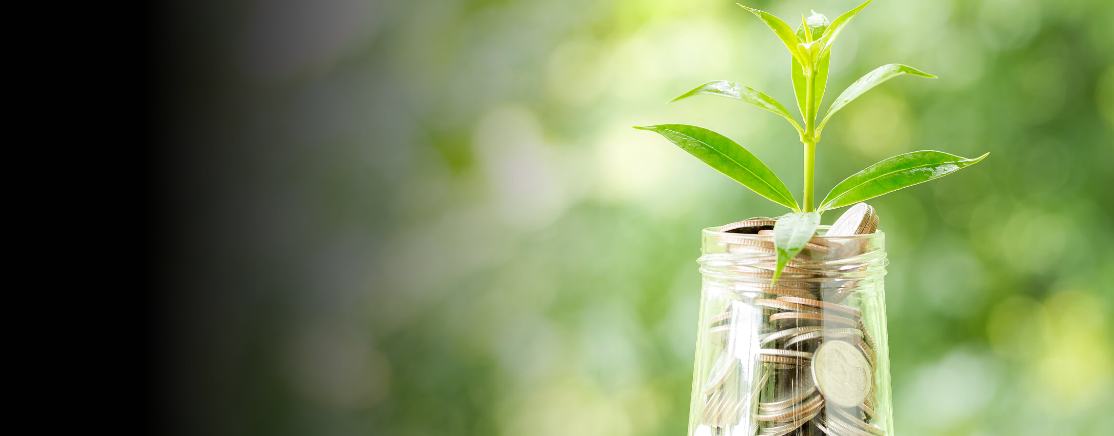 Embrace Relief VA Fundraising