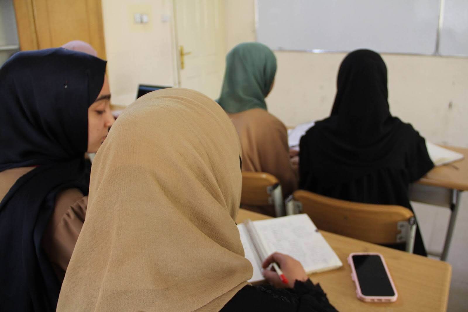 Online Learning in Action: The L.E.A.R.N. Program