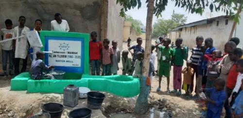 HASAN YILDIRIM (1960 – 2020) WATER WELL (8)
