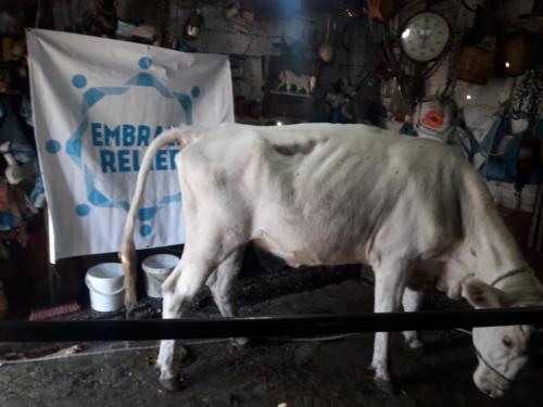 WhatsApp Image 2018-08-23 at 12.26.32 PM