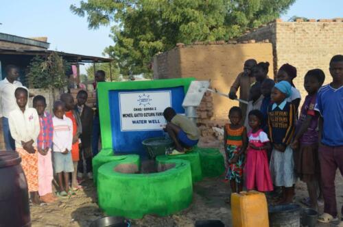 mc neil gatto ozturk-water well (10)