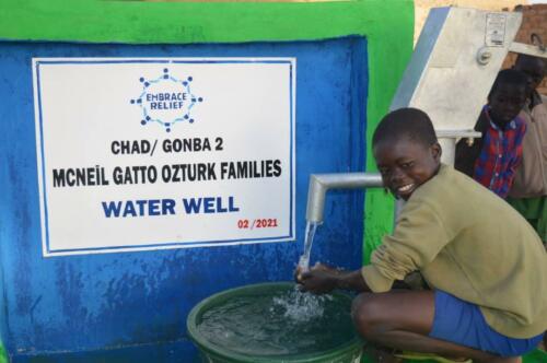 mc neil gatto ozturk-water well (17)