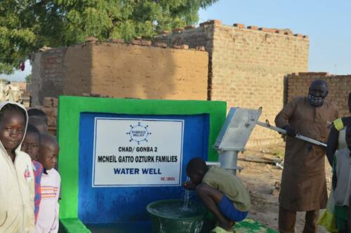 mc neil gatto ozturk-water well (2)