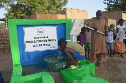 mc neil gatto ozturk-water well (3)