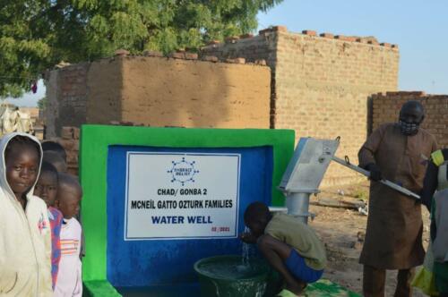 mc neil gatto ozturk-water well (4)