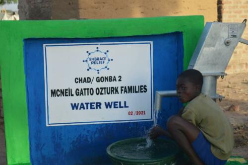 mc neil gatto ozturk-water well (6)