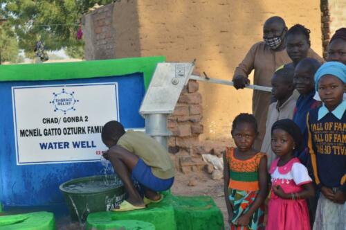 mc neil gatto ozturk-water well (8)